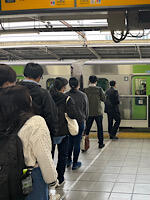 IMG_2024-11-15-133657