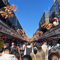 IMG_2024-11-13-134245