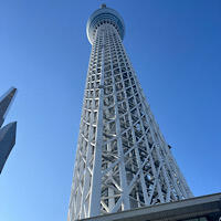 IMG_2024-11-13-204022