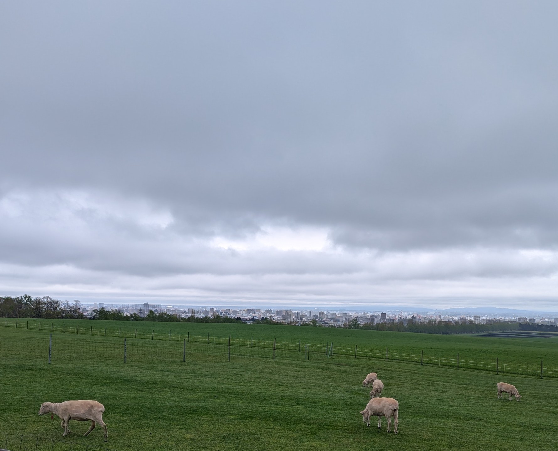 PXL_20250511_003024842~2