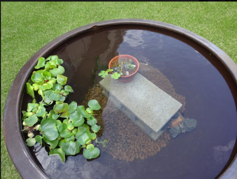 スクリーンショット 2025-03-21 120352