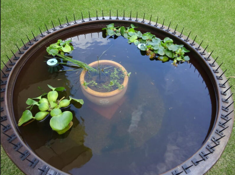 スクリーンショット 2025-03-21 120503