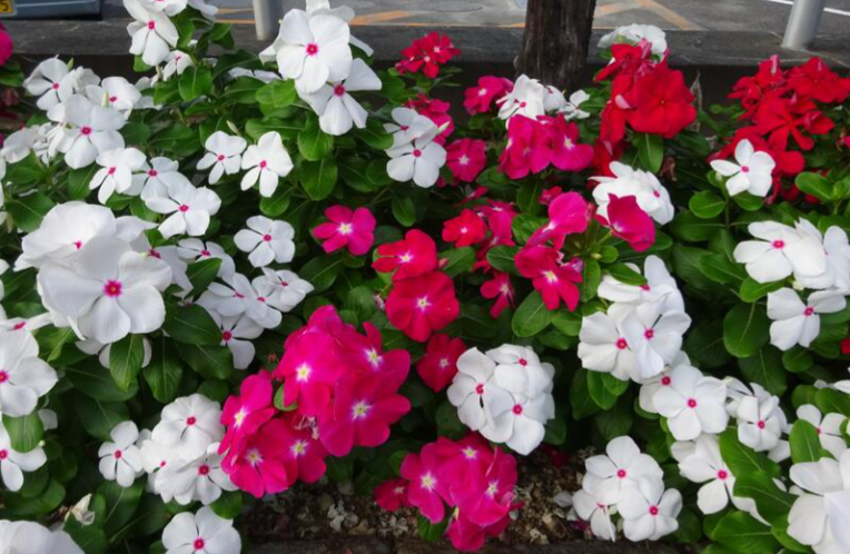 スクリーンショット 2025-03-21 120607